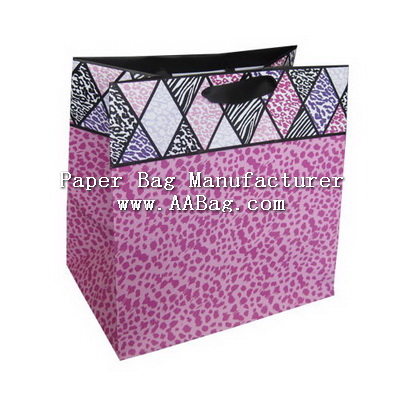 Everyday Paper Bag for Shopping