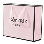 Custom Promotion Paper Bag for Clothing Brand
