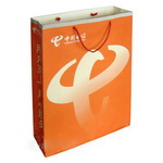 Distinctive Paper Bag with Top Brand Design