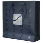 Paper Top Brand Bag with Deluxe UV tech Design