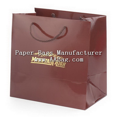Paper Brand Bag with Custom Elegance Logo design