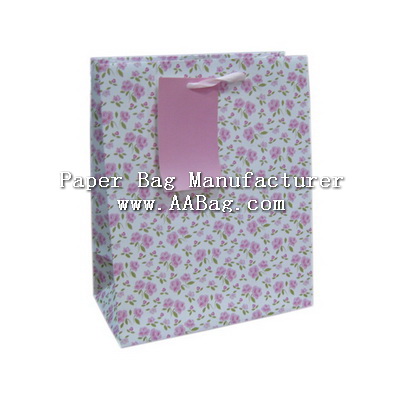 Everyday Paper Bag for Shopping
