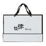 Custom Paper Bag with your Brand