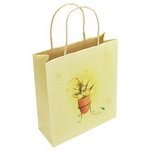 Custom white kraft Paper Bag with Twisted Paper Rope;Eco-friendly(small design)