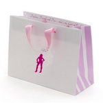 Luxury Paper Bag with Custom Design,Used for good quality Bikini Sexy Swimwear,Underwear/Lingerie