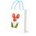 Mother's Day Gift Bag design