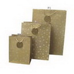Custom Everyday Gift Paper Bags